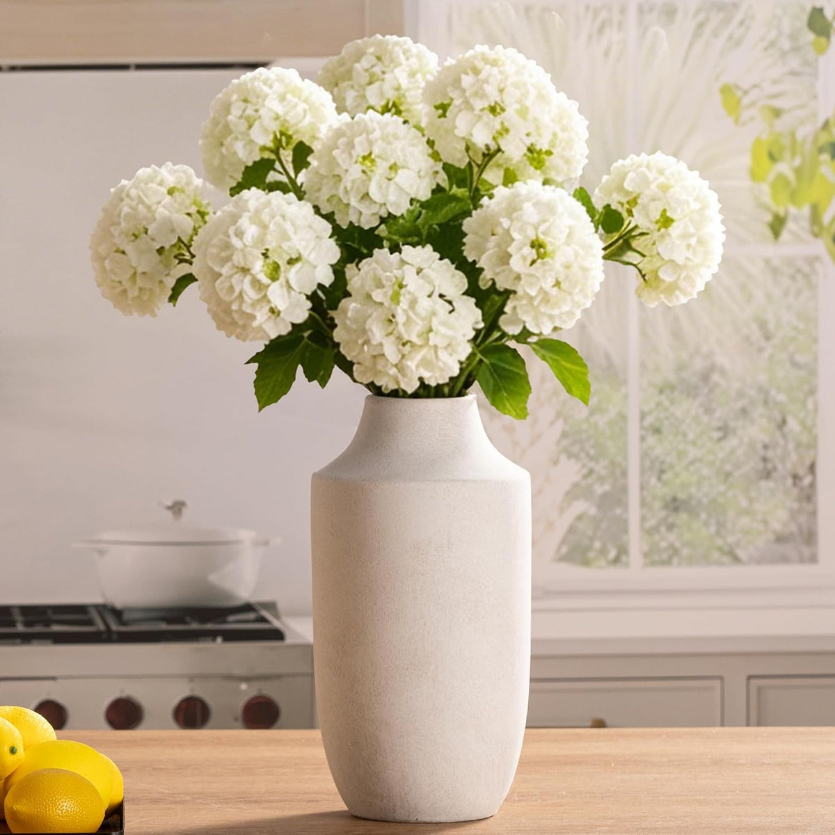 Straight-on view of a smooth pale vase topped with large white blooms in front of a sunlit window.