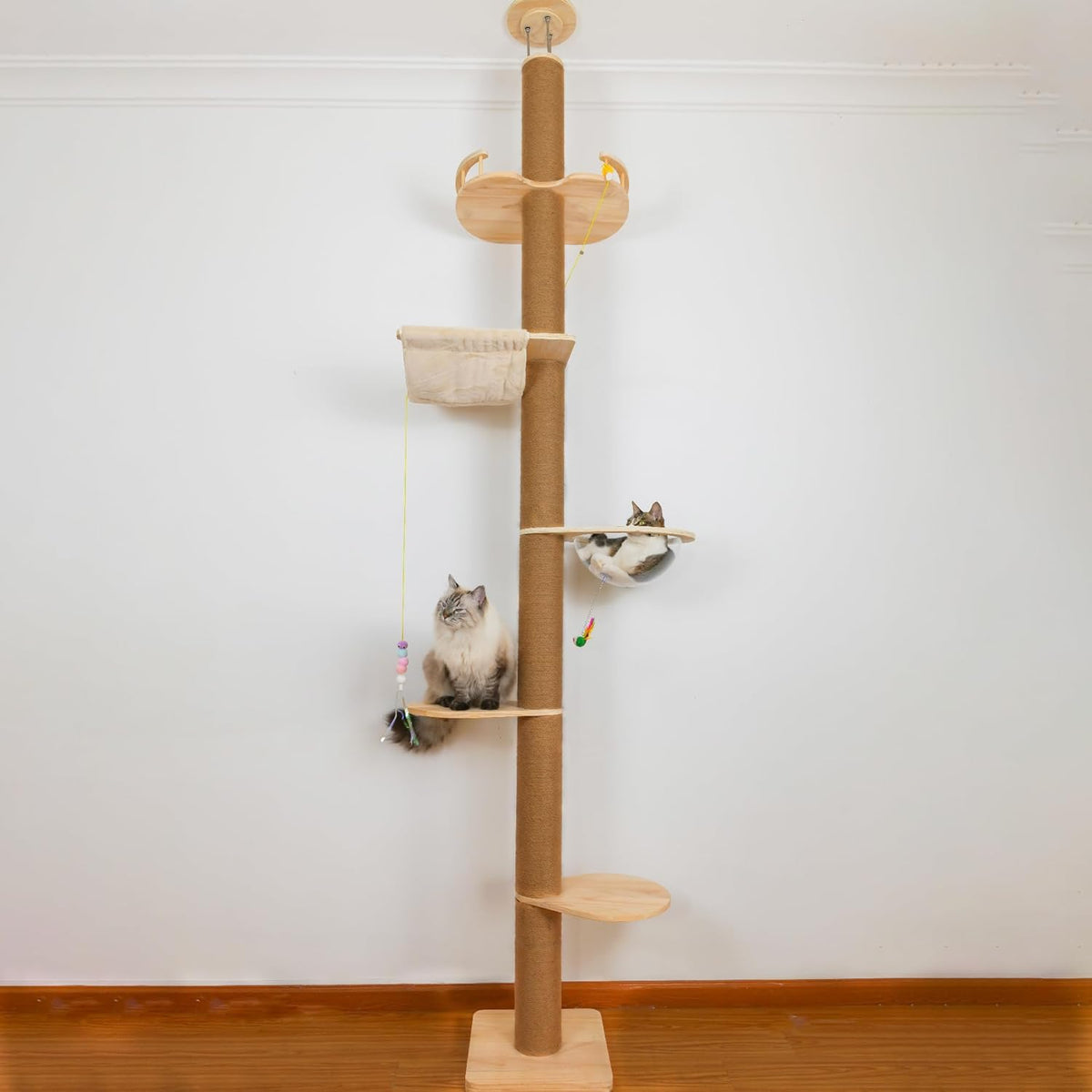 Natural wood floor-to-ceiling cat tree against a white wall with two cats, showing platforms, hammock and transparent capsule