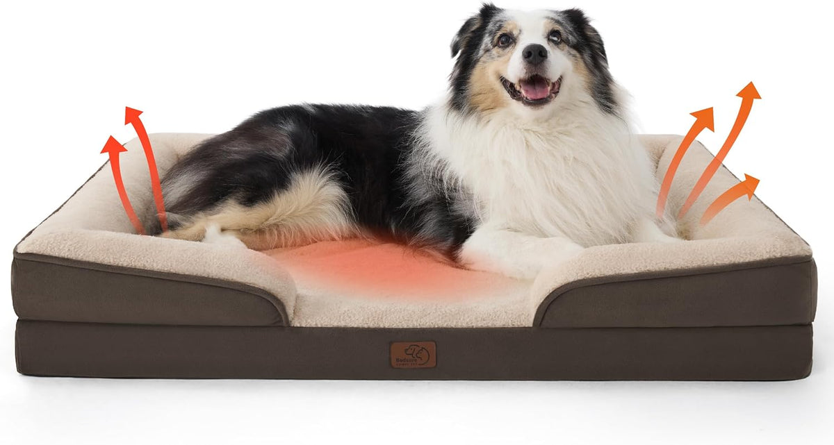 Smiling dog on a brown bolster bed with orange arrows rising from the sleeping surface.
