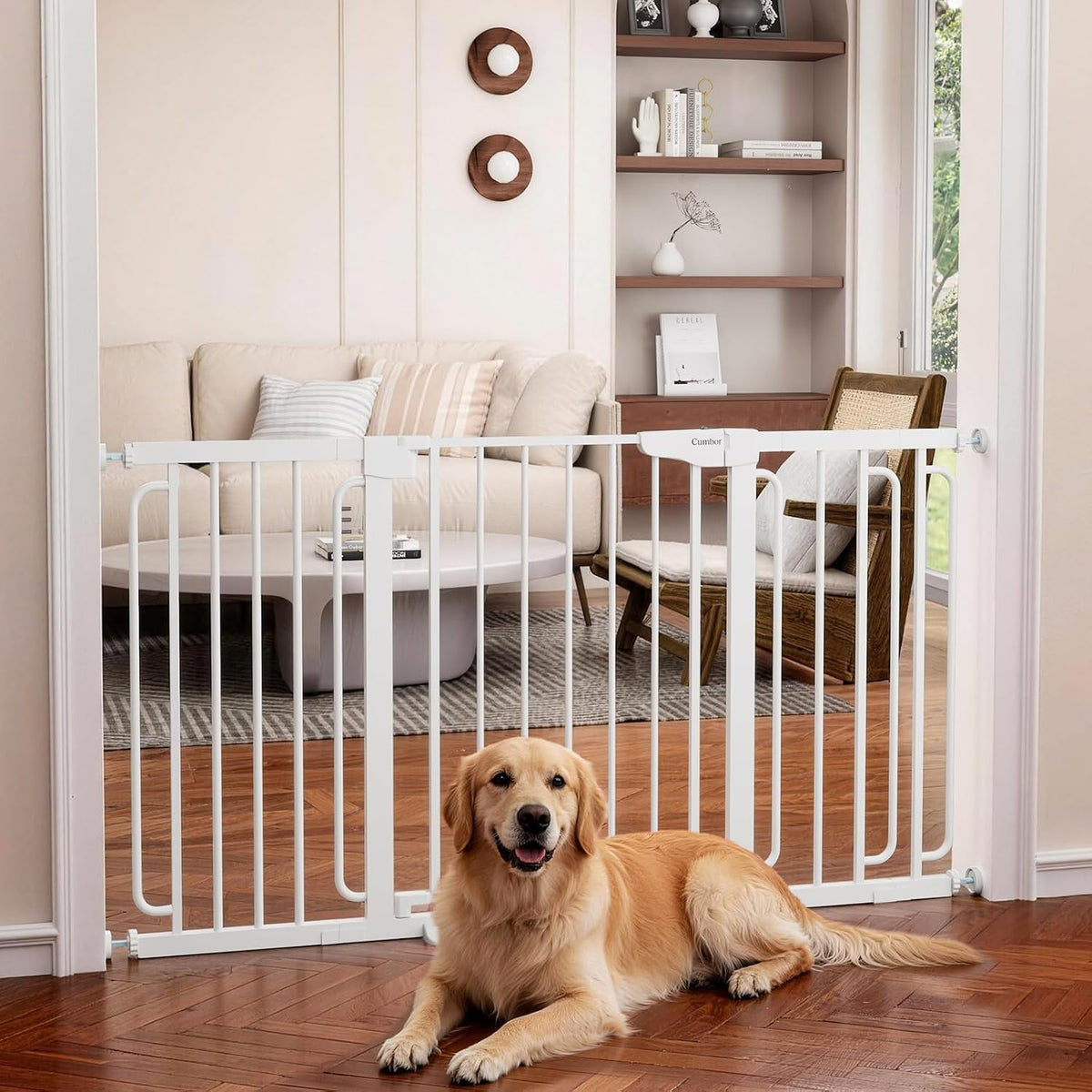 White gate across a living room doorway with a golden retriever lying on the floor in front