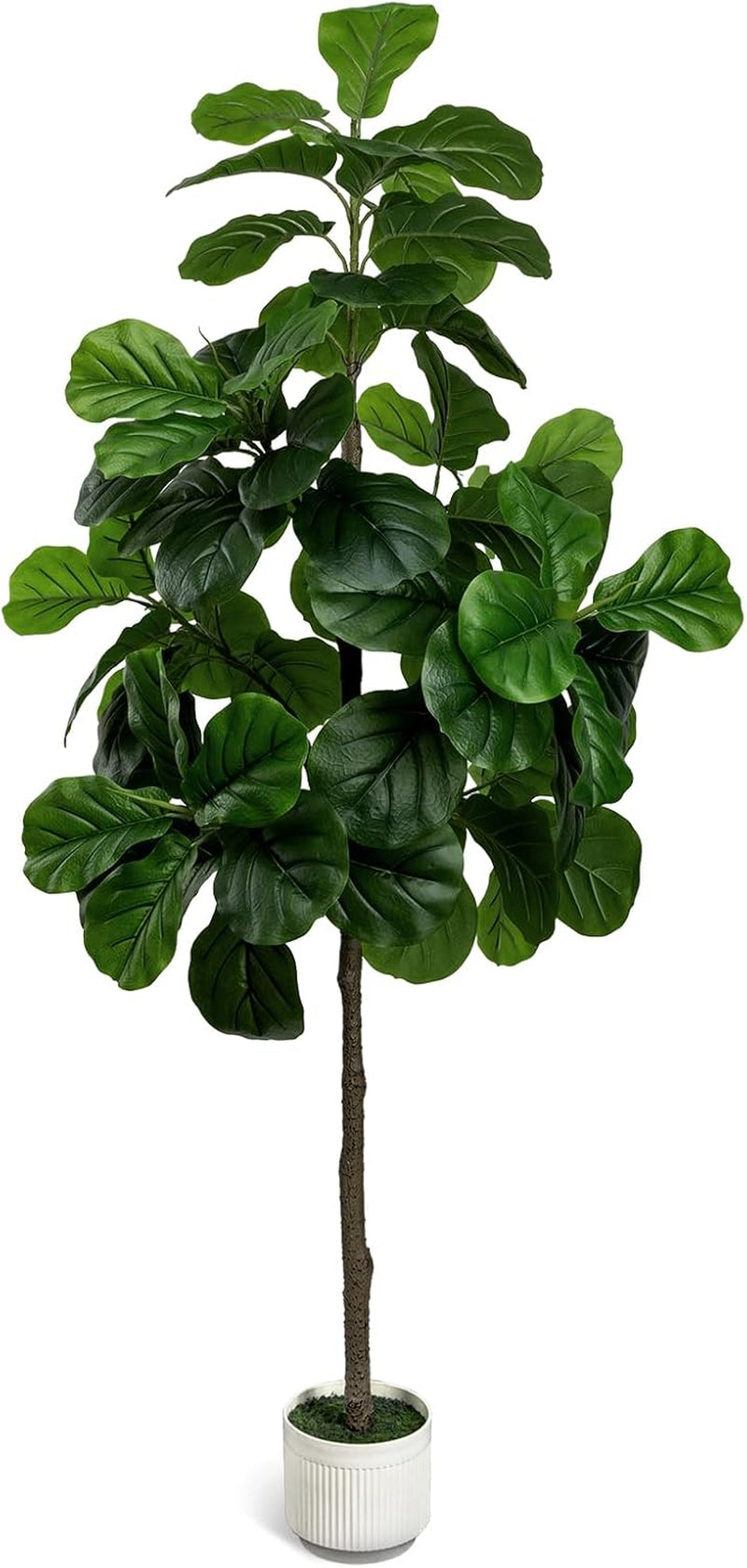 Fiddle leaf fig artificial tree with round white planter, full front view