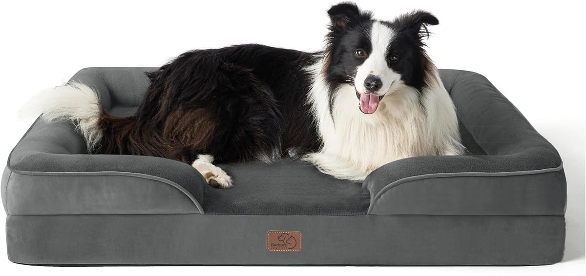 Dark gray bolstered bed shown from the front-left with a black-and-white dog reclining and looking at the camera.