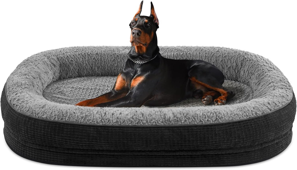 Dark-outer, light-gray lined oval dog bed with a large Doberman reclining in the center.