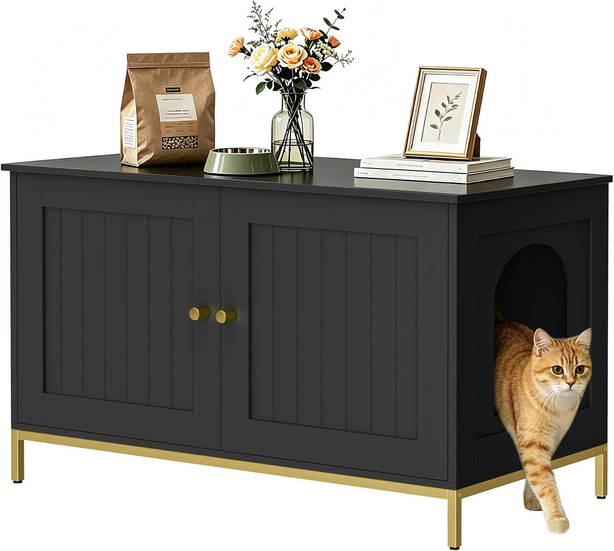 Front view of the black cabinet as a ginger cat steps out through the side arched entrance.