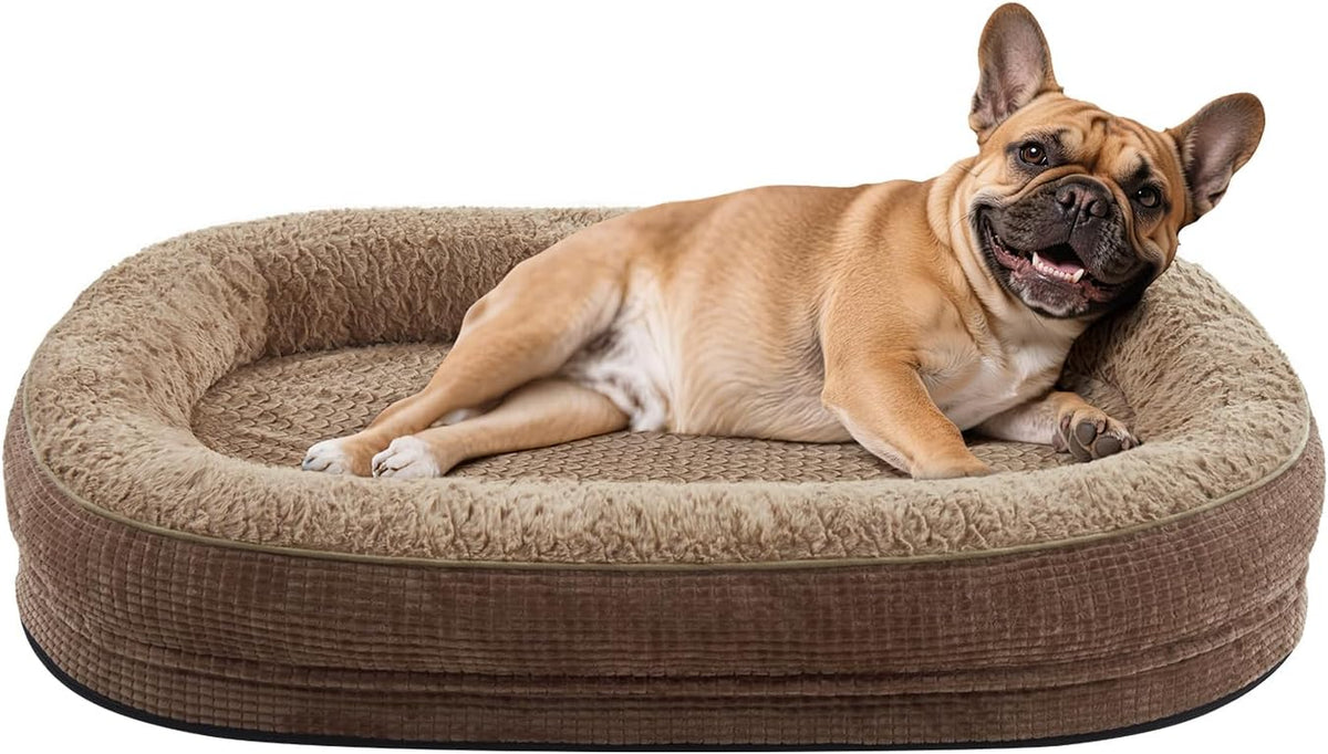 Brown oval dog bed with plush inner bolster and a smiling fawn French bulldog lying sideways