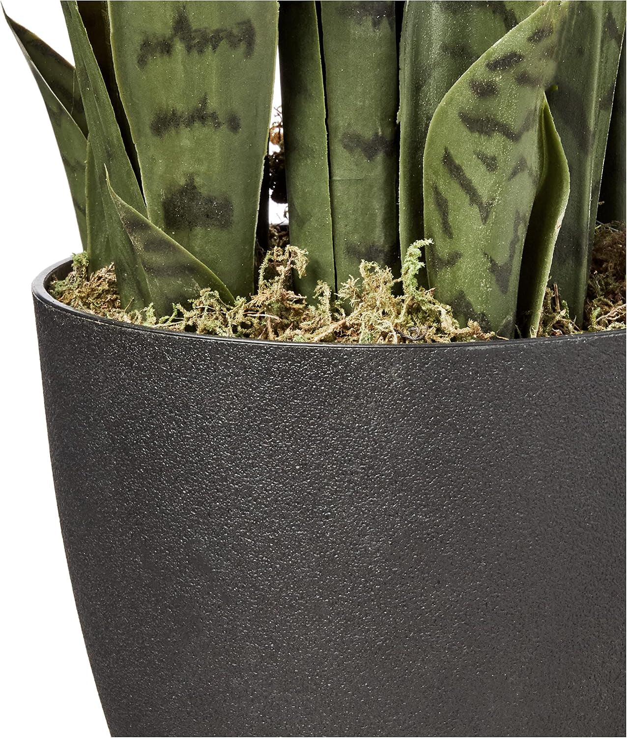 Tight crop of the planter's textured top rim showing faux moss and the bases of upright striped leaves.
