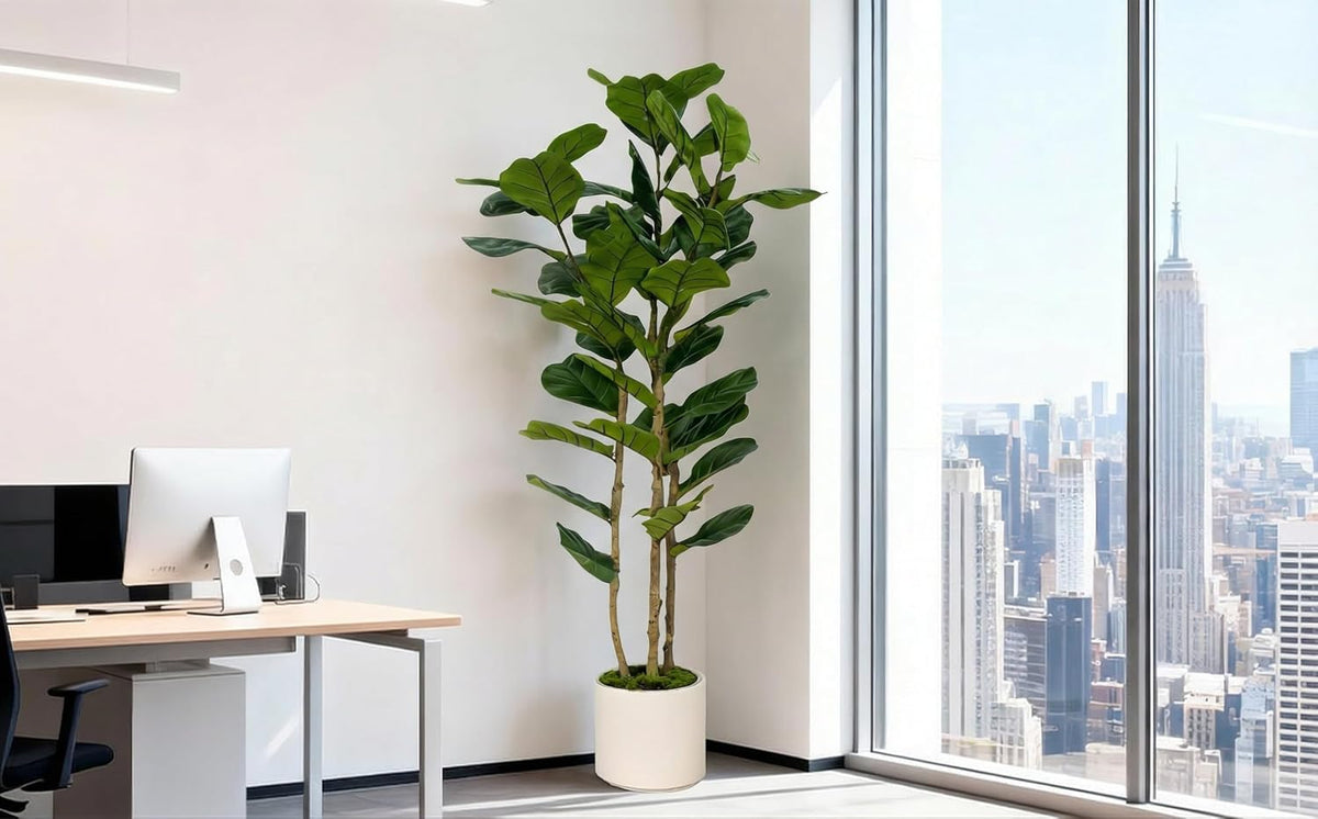 6 ft artificial fiddle leaf fig in a white nursery pot placed in an office corner by floor-to-ceiling windows