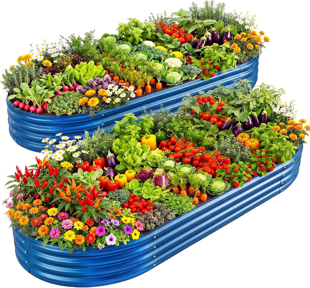 Two oval blue galvanized raised garden beds overflowing with vegetables and flowers