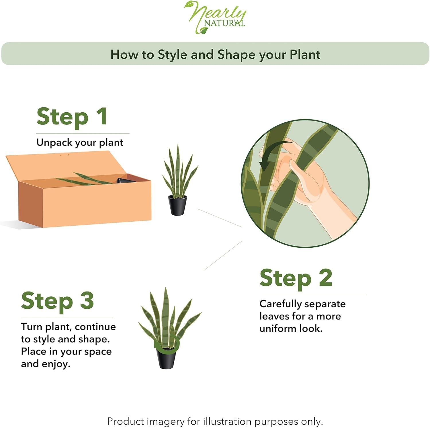 Illustrated three-step diagram showing unpacking a boxed snake plant and separating leaves by hand.