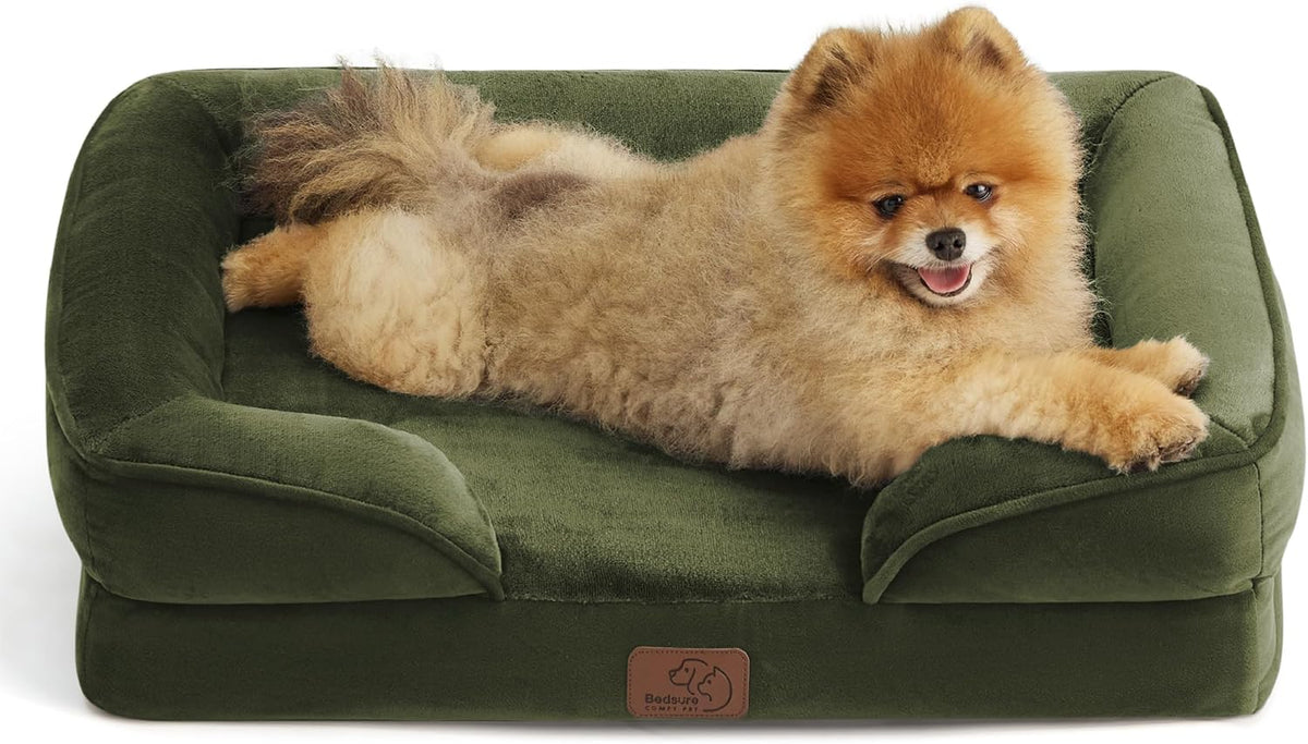 Olive-green bolster bed shown from above with a small Pomeranian stretched out, head resting on the bolster.