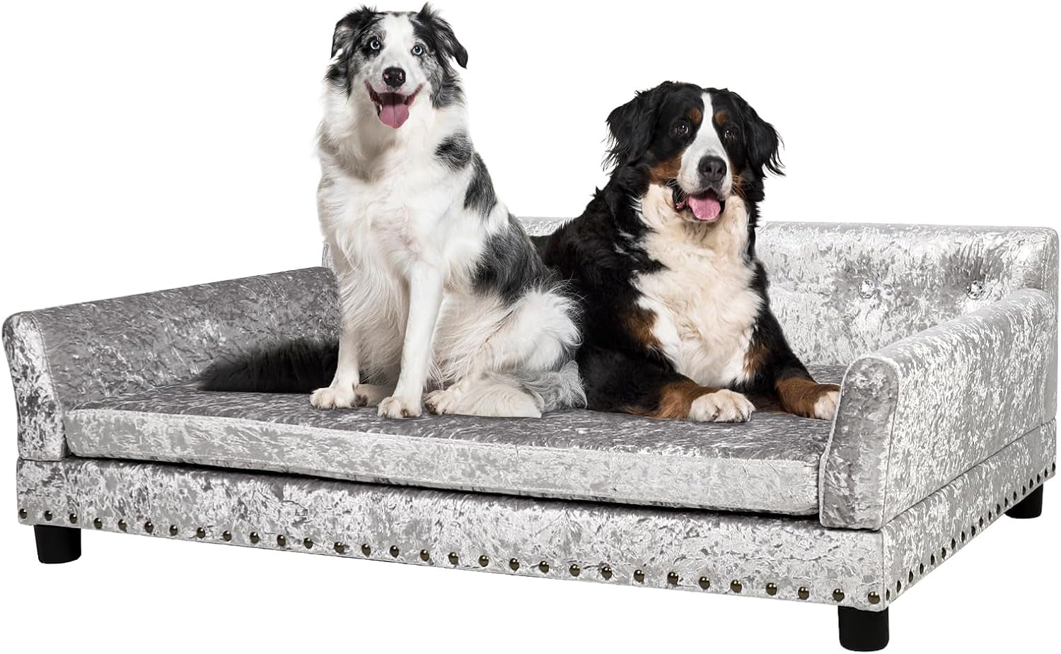 Large Leather Dog Sofa: Scratch Resistant Pet Couch up to 77lbs | Luxury Modern Indoor Dog Furniture, gallery view 11