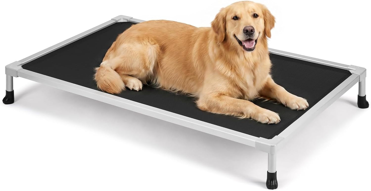 Silver raised dog bed with black fabric surface and a golden retriever reclining on it, shown on white