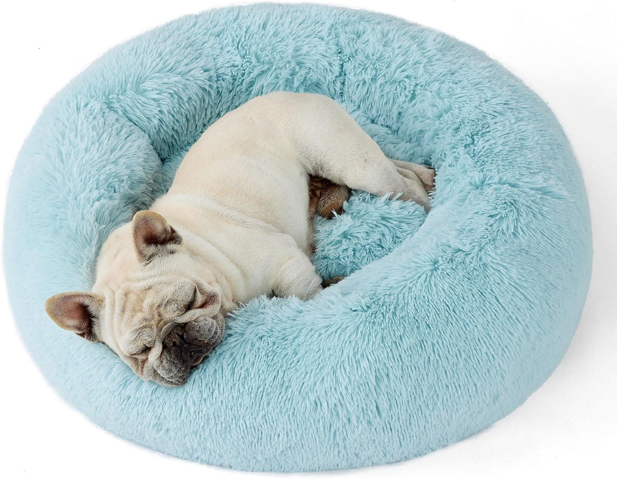 Top-down close crop of a light-blue fluffy donut bed with a sleeping cream-colored bulldog