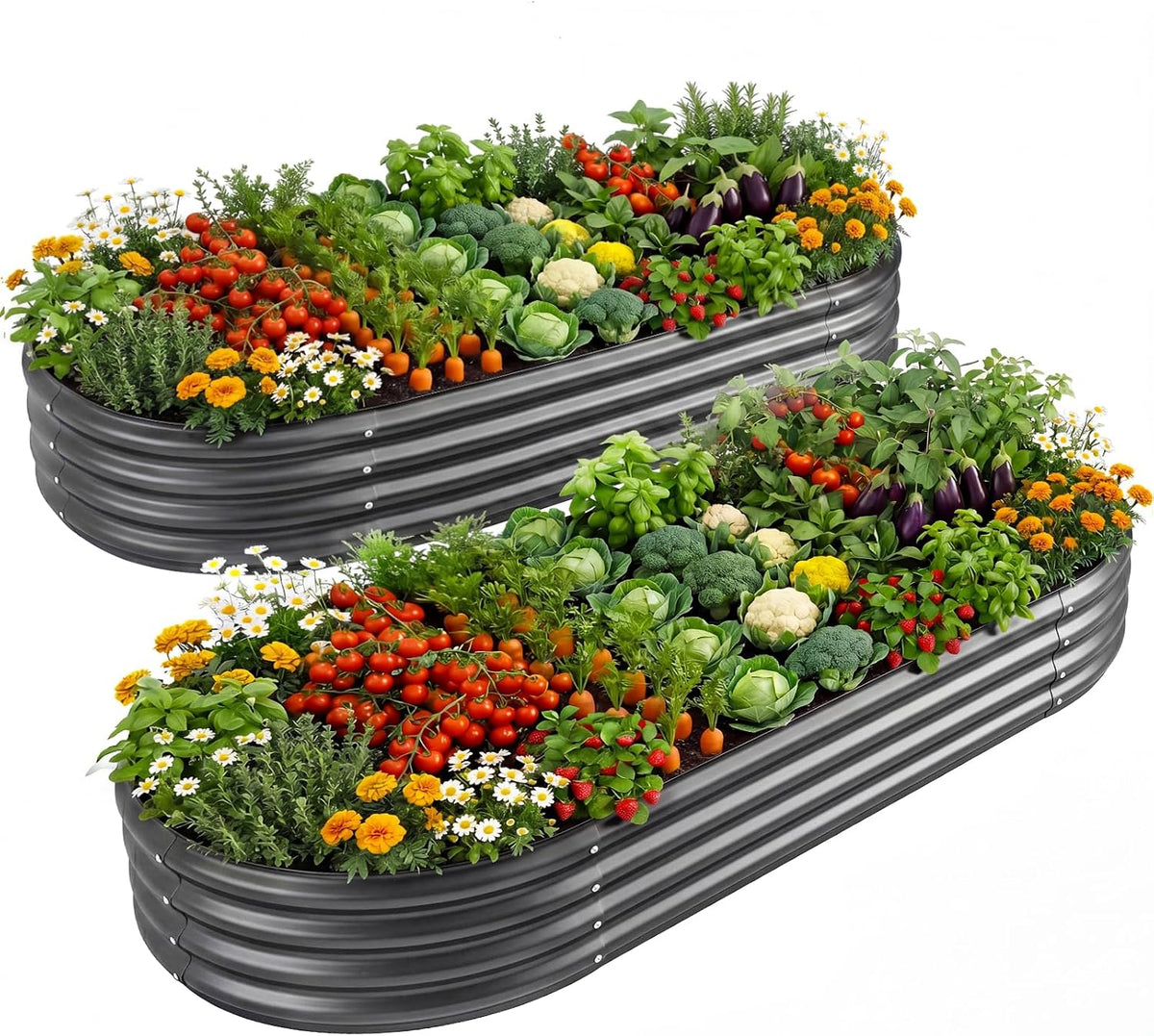 Two oval dark gray metal raised garden beds filled with vegetables and flowers