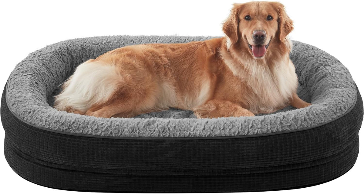 Low front view of a two-toned gray oval bolster bed with a golden retriever resting inside.