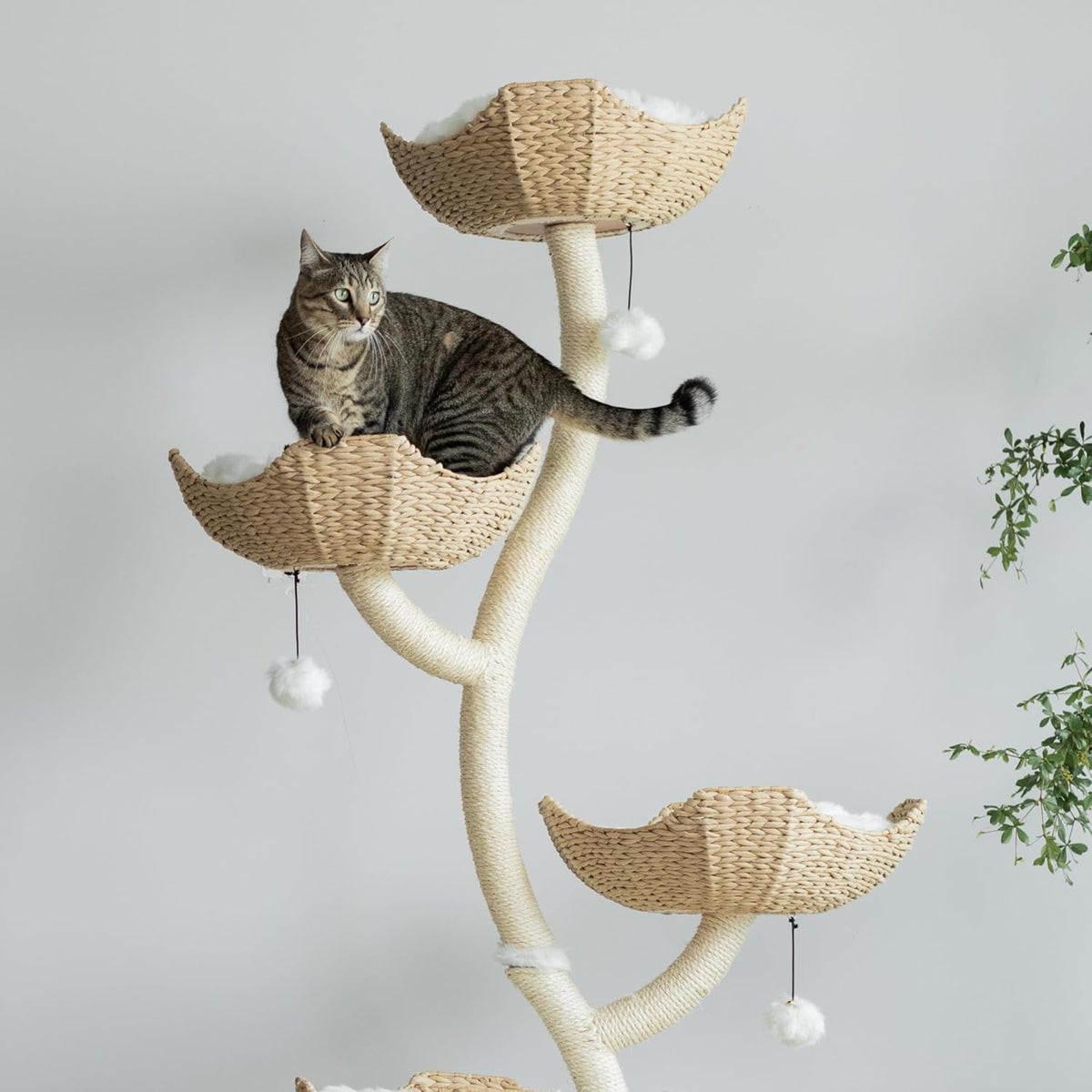 Close-up of upper woven basket and mid-level basket with a tabby cat lounging on a cream cushion