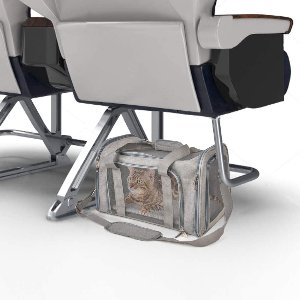 Gray soft-sided pet carrier placed under airplane-style seats with a tabby cat visible through mesh.