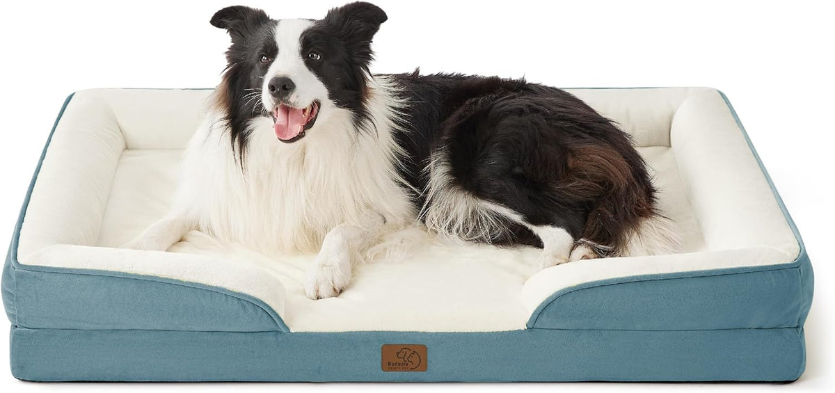 Black-and-white Border Collie lying across a teal bolster bed, shown full-width front view.
