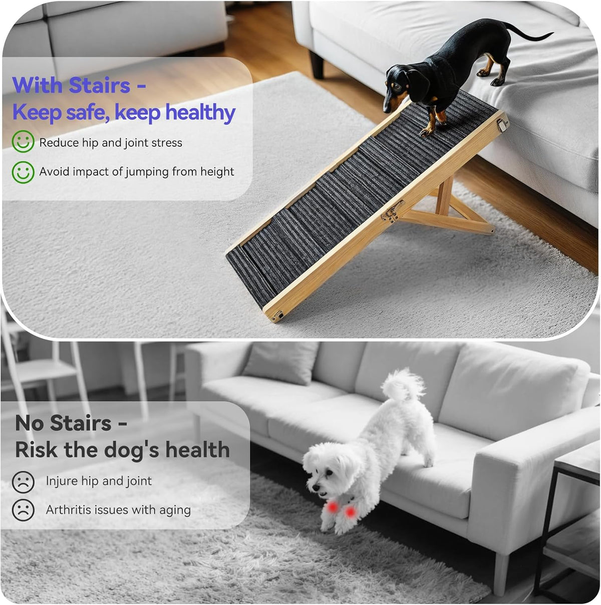 Grey-carpeted ramp placed against a beige sofa with a dachshund standing on the ramp in a bright living room setting
