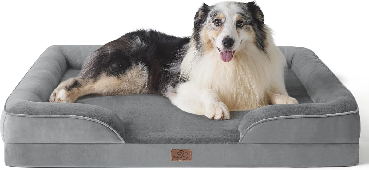Gray orthopedic dog bed with low front entry and a black-and-white dog resting inside