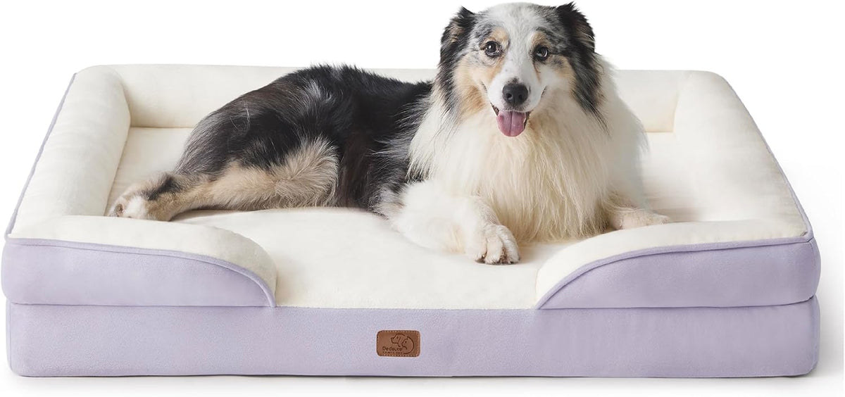 Lavender bed shown head-on with cream sleeping surface and a happy black-and-white dog centered on the cushion.