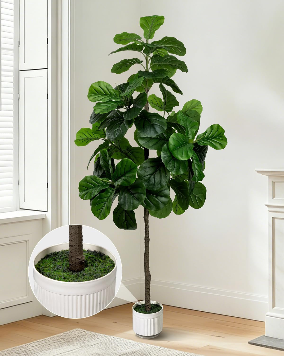 White ribbed planter and textured trunk at the base of the fiddle leaf fig tree