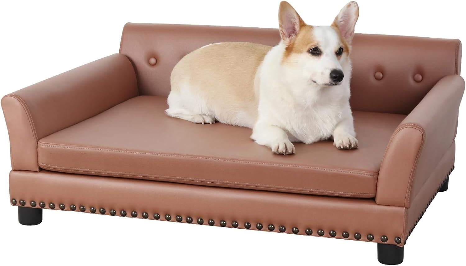 Low-angle close view of a brown leather elevated dog sofa with studded trim and a corgi lying on the cushion