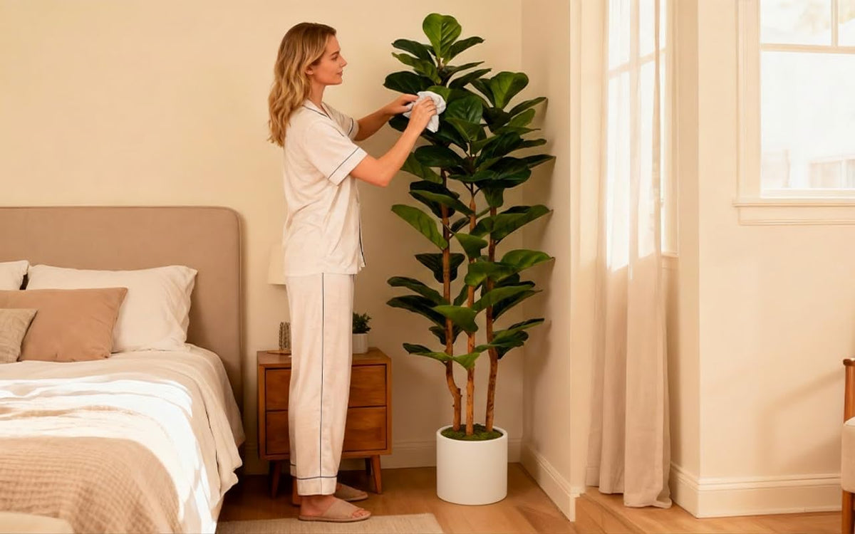 Woman dusting a tall faux fiddle leaf fig in its white pot near a bed and curtained window.