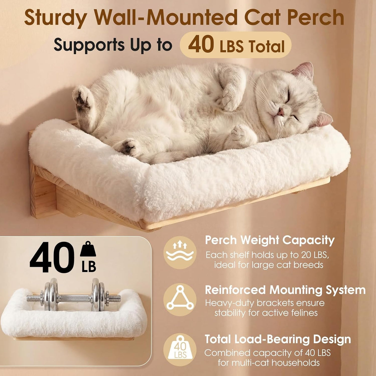 Wall-mounted plush cat bed on a light wood shelf with a curled up cat showing the cushioned perch