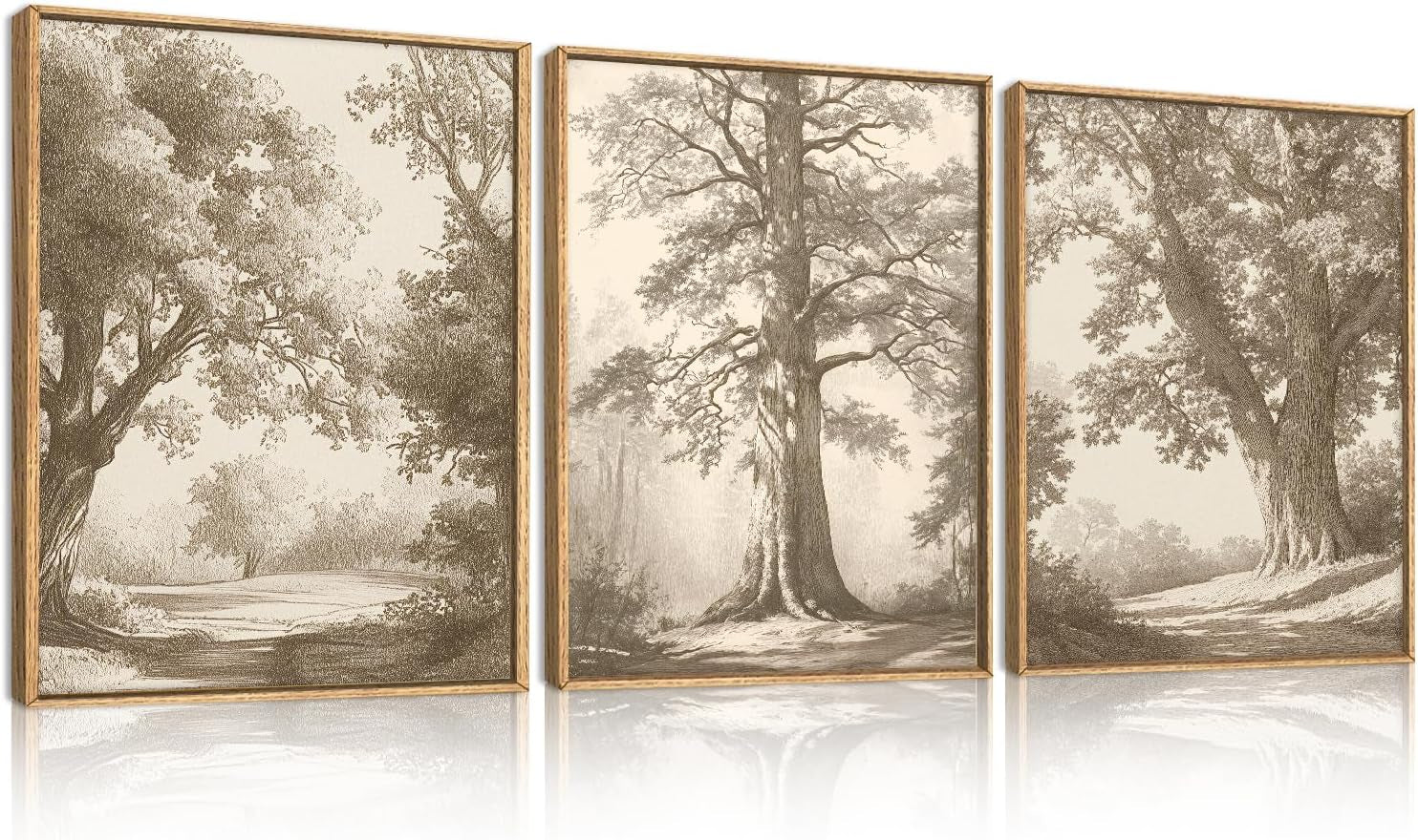 Three framed sepia tree sketches displayed side-by-side with wood frames on a reflective surface.