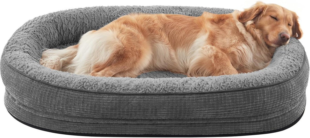 Golden retriever sleeping curled along the raised rim of a gray oval bolster dog bed.