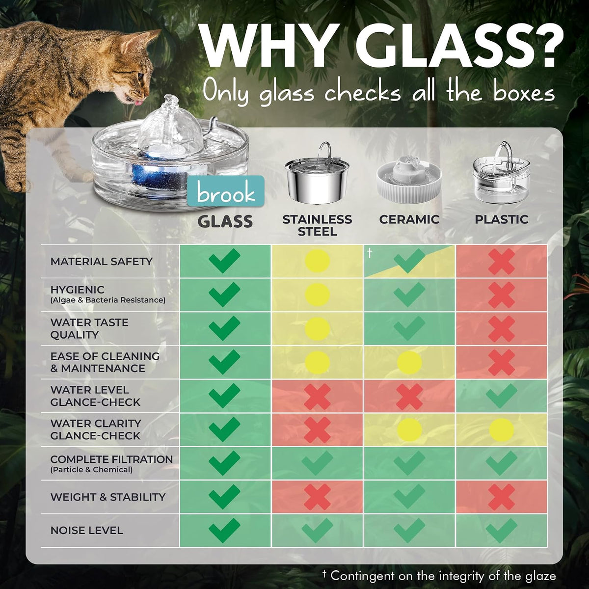 Infographic titled "Why Glass?" comparing glass bowls to stainless steel, ceramic and plastic with a cat and checklist icons