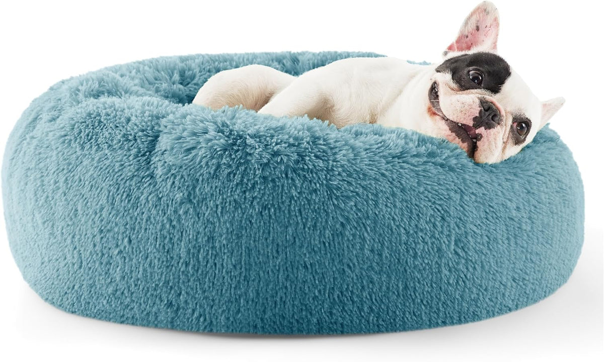 Side view of a teal fluffy donut bed with a French bulldog resting its head on the raised rim.
