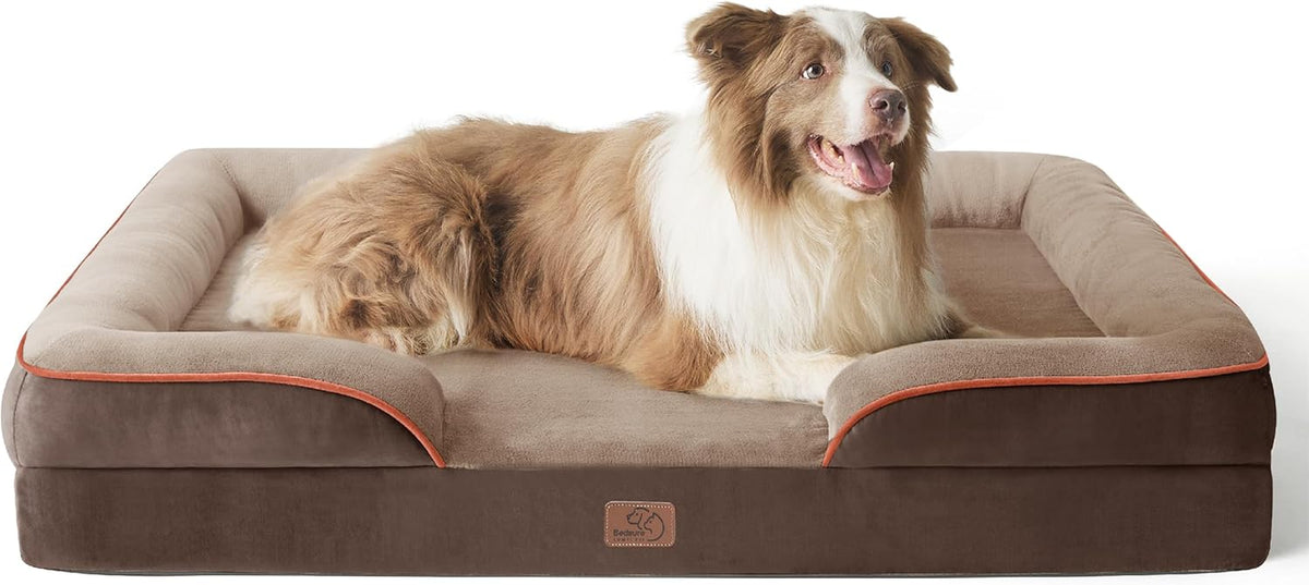 Large brown orthopedic dog bed with raised bolsters and a brown-and-white dog lying inside