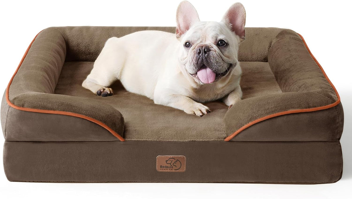 Small white bulldog resting in a brown rectangular bolstered pet bed with orange piping.