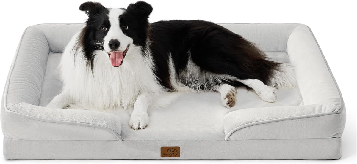 Light-gray bolstered rectangular dog bed with a black-and-white border collie lying inside, front view