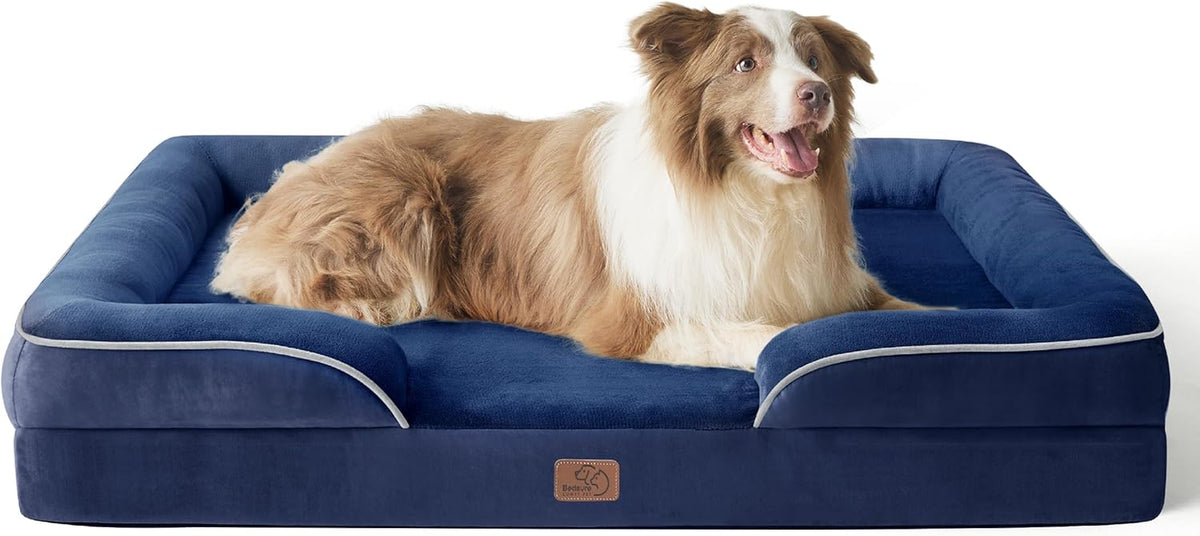 Angled front view of a navy blue bolster bed with a large fluffy brown-and-white dog lounging inside