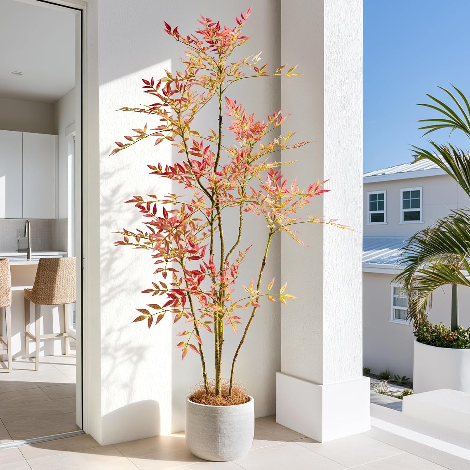 Tall faux nandina in a sunlit entry alcove between an interior kitchen and an outdoor balcony, slender trunks rising from a