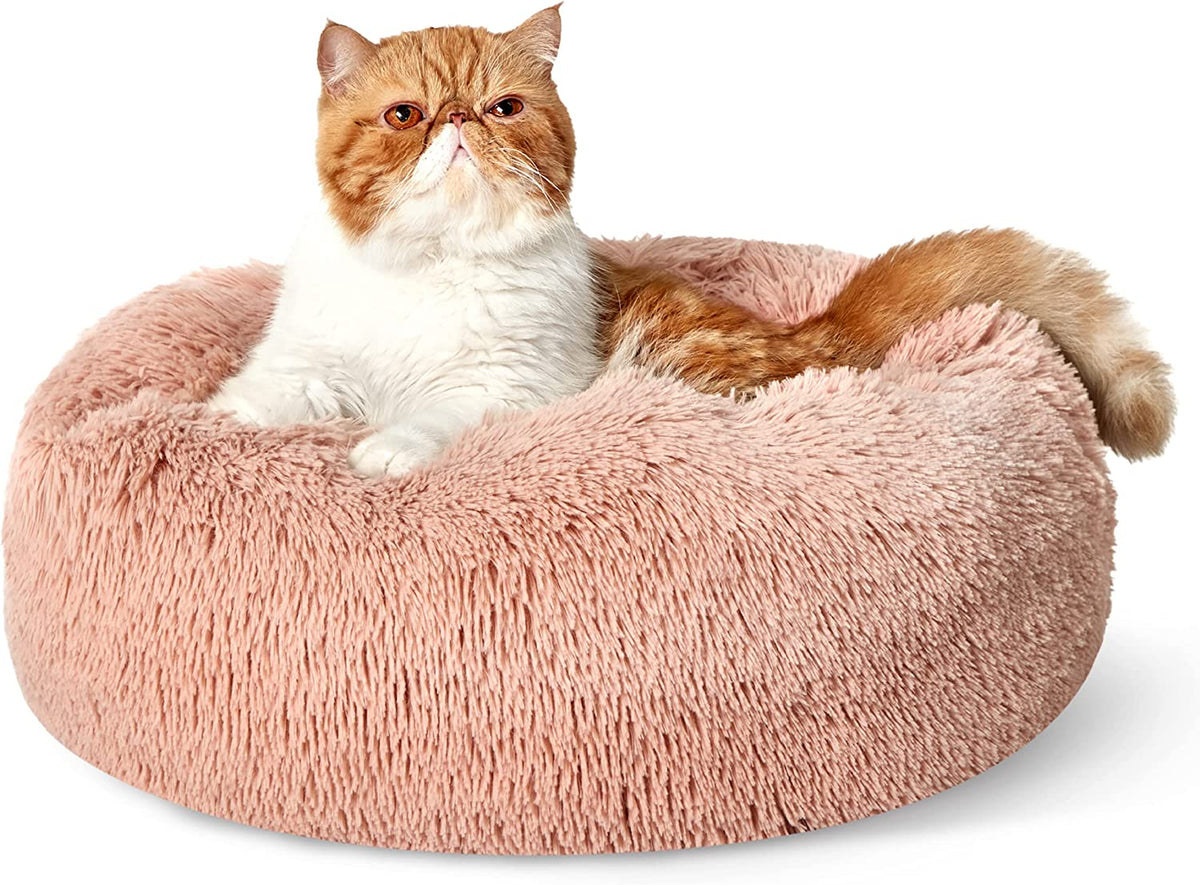 Pink round faux-fur donut bed with an orange-and-white cat sitting upright on it