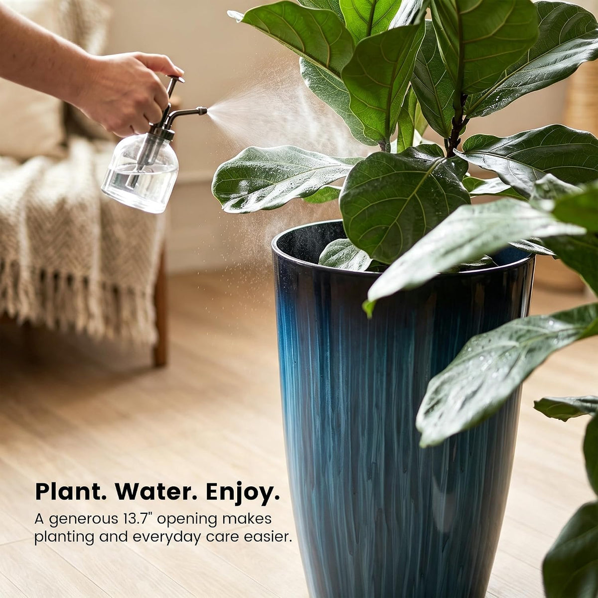 Indoor close-up of blue gradient planter with leafy foliage being misted during watering