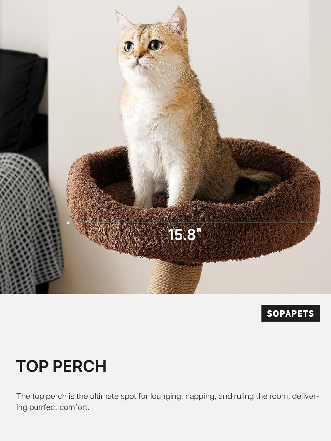 Brown plush circular top perch with a cat sitting inside, front view showing the raised rim and soft texture