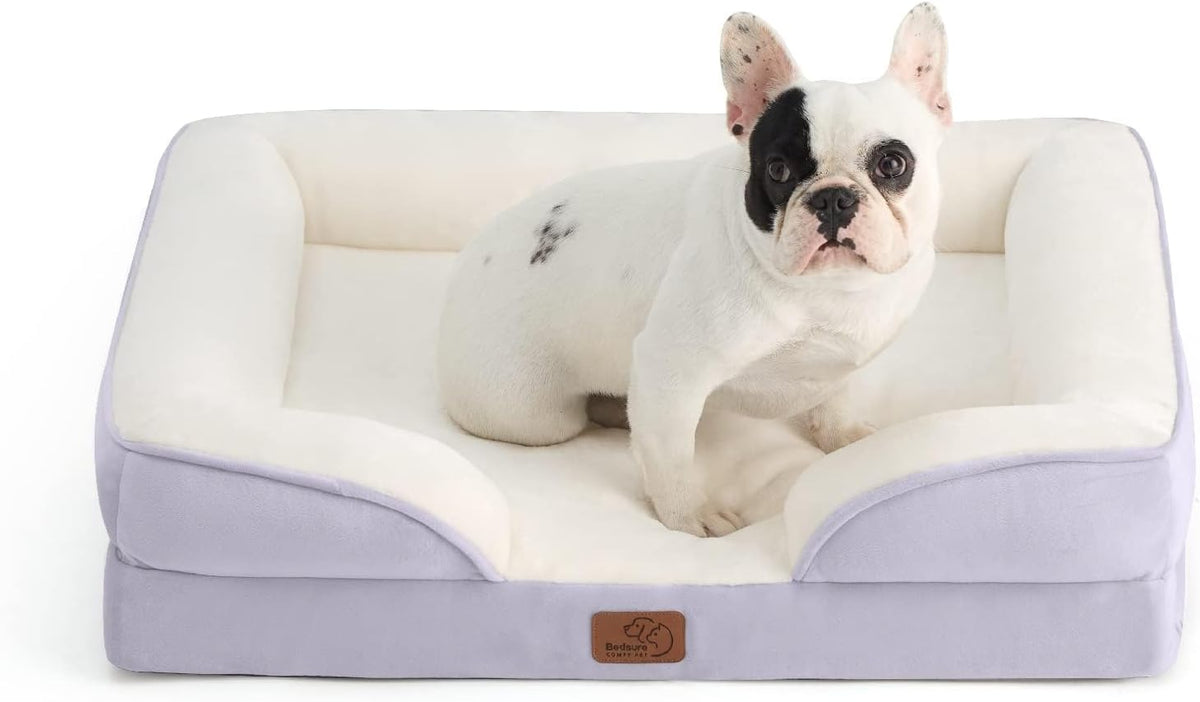 Small white-and-black dog sitting in a lavender rectangular bolstered dog bed with cream interior.