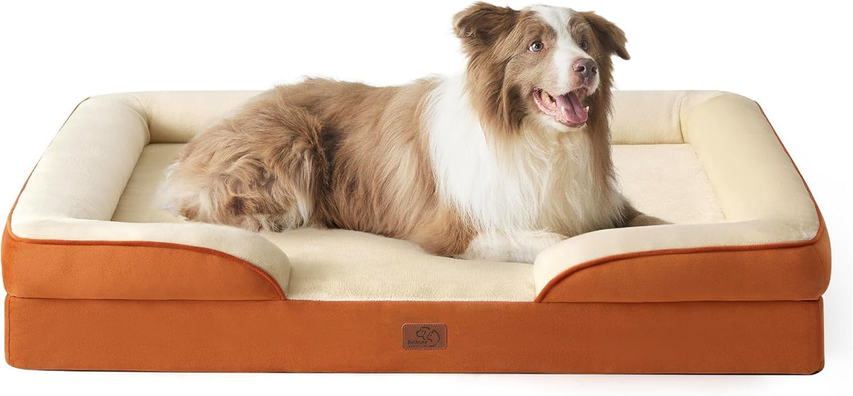 Front view of an orange-and-cream bolstered bed with a large brown-and-white dog lying inside, facing right.