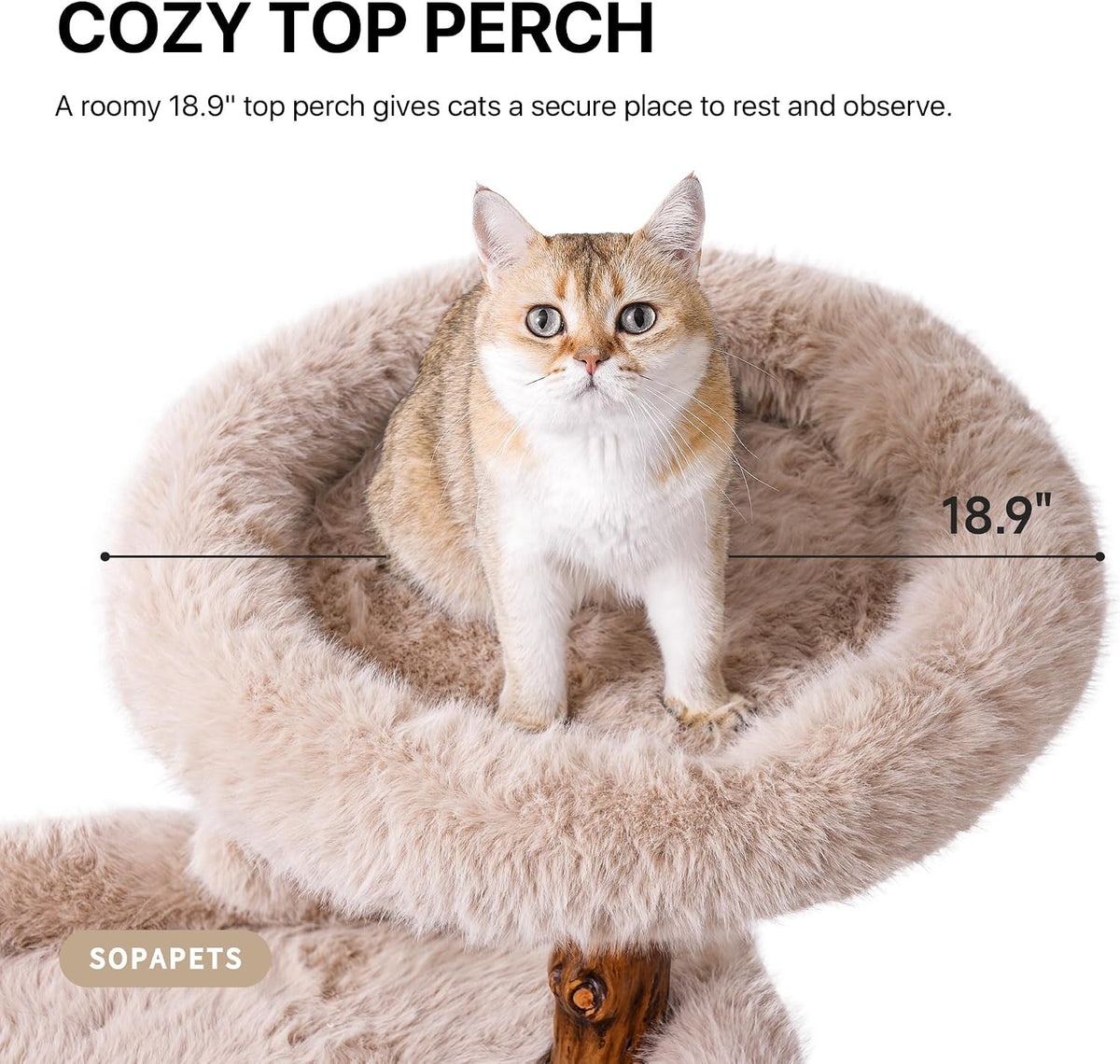 Round top plush perch in beige with a cat seated and an 18.9-inch measurement overlay.
