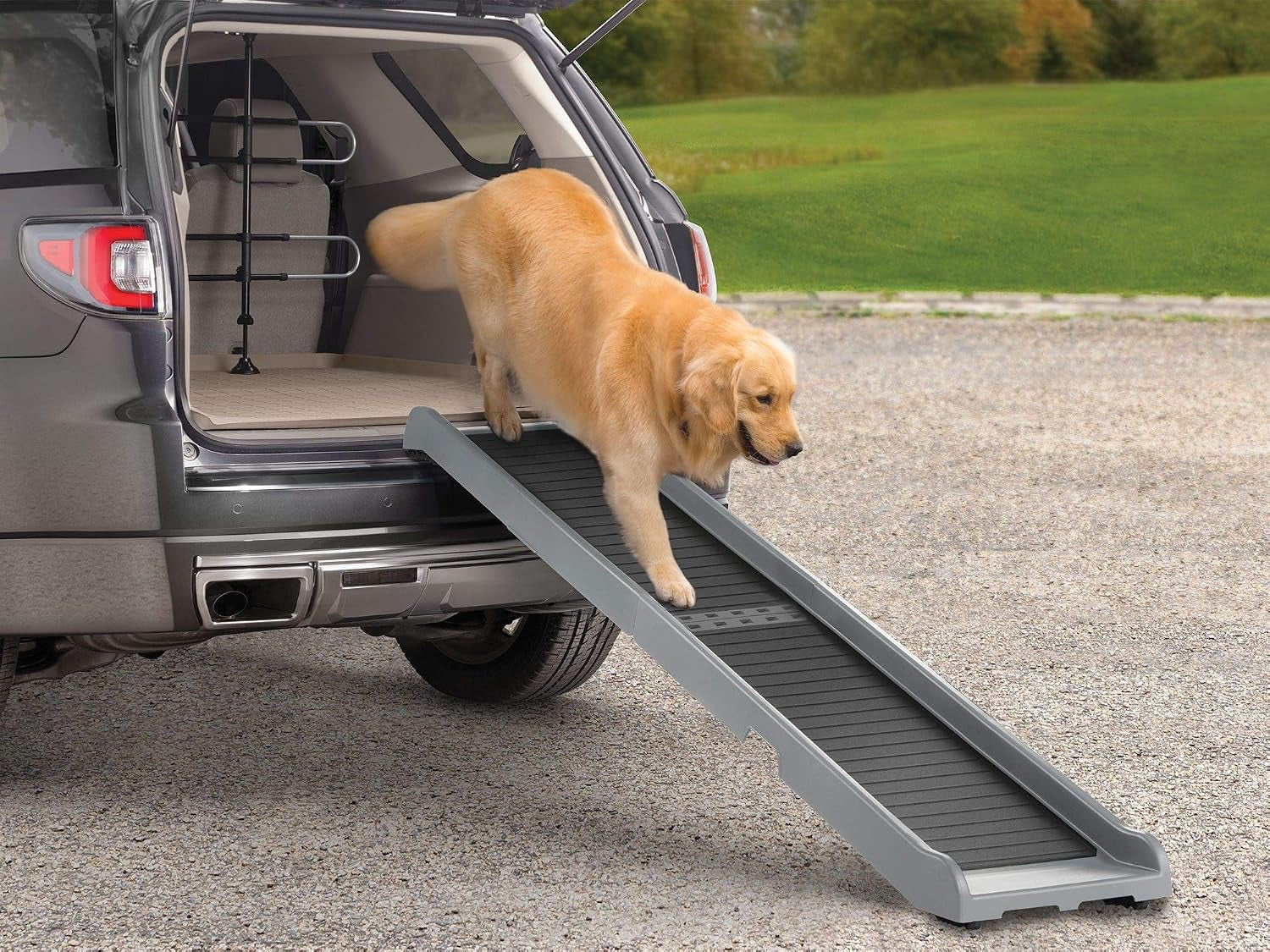 Golden retriever descending a pet ramp into an SUV cargo area on a gravel driveway