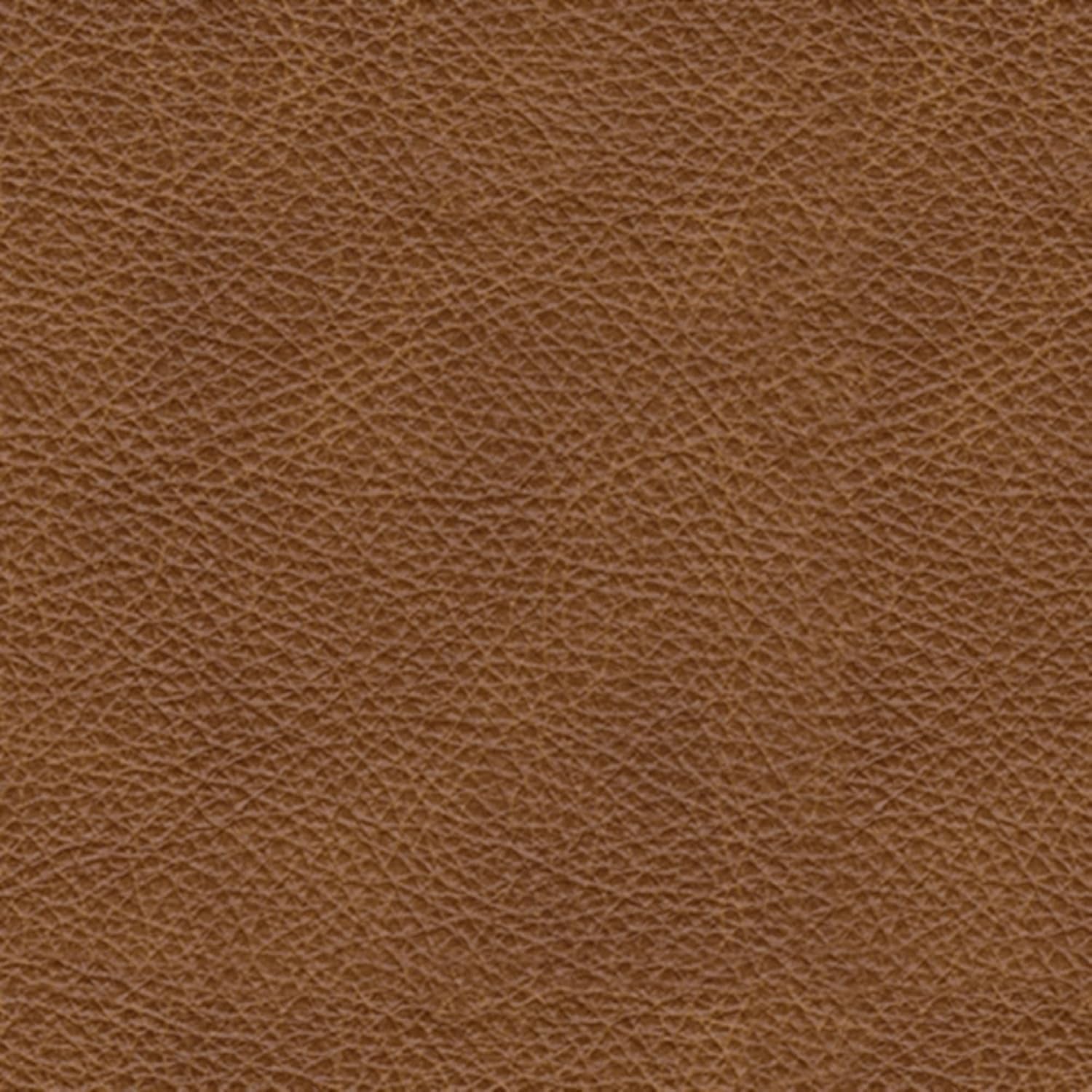 Signature Design by Ashley Carianna Leather Sofa for Living Room, Caramel | Top-Grain Leather Touchpoints, Sag-Resistant Platform Foundation, Classic Rolled Arms with Nailhead Trim