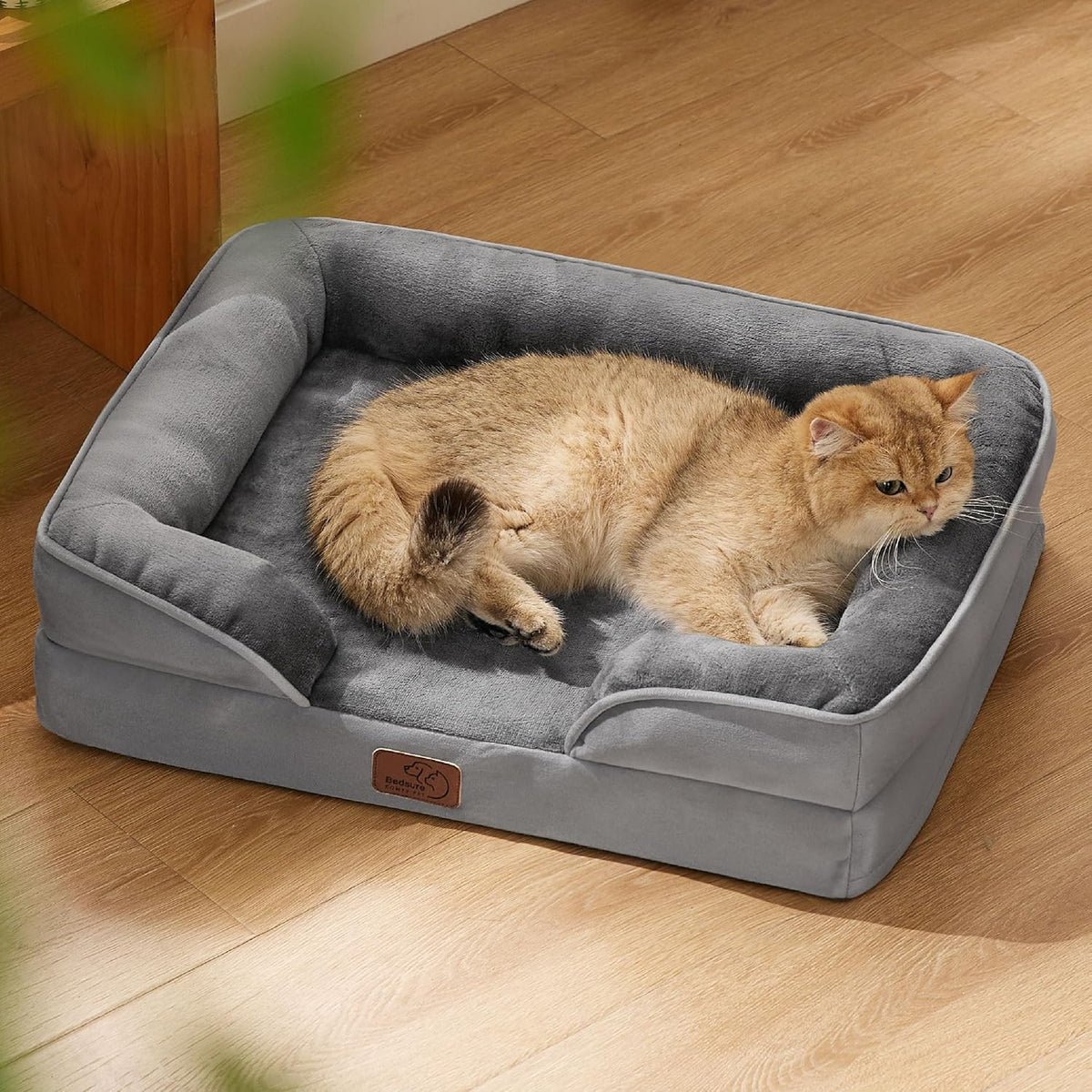 Orange-brown cat curled up in a medium gray bolstered pet bed placed on wood floor.