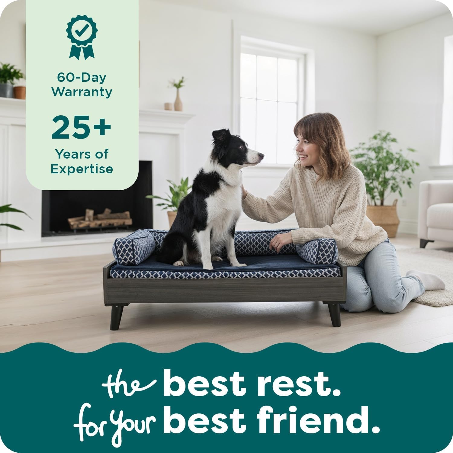 Woman kneeling beside a border collie sitting on the gray-wash mid-century elevated dog bed in a bright living room.