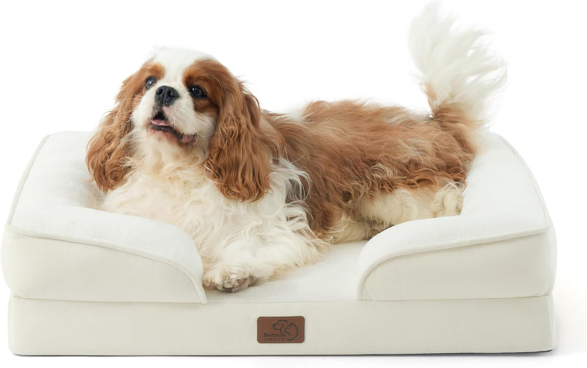 Cream-colored bolstered bed with a brown-and-white spaniel looking up and its tail raised over the edge.