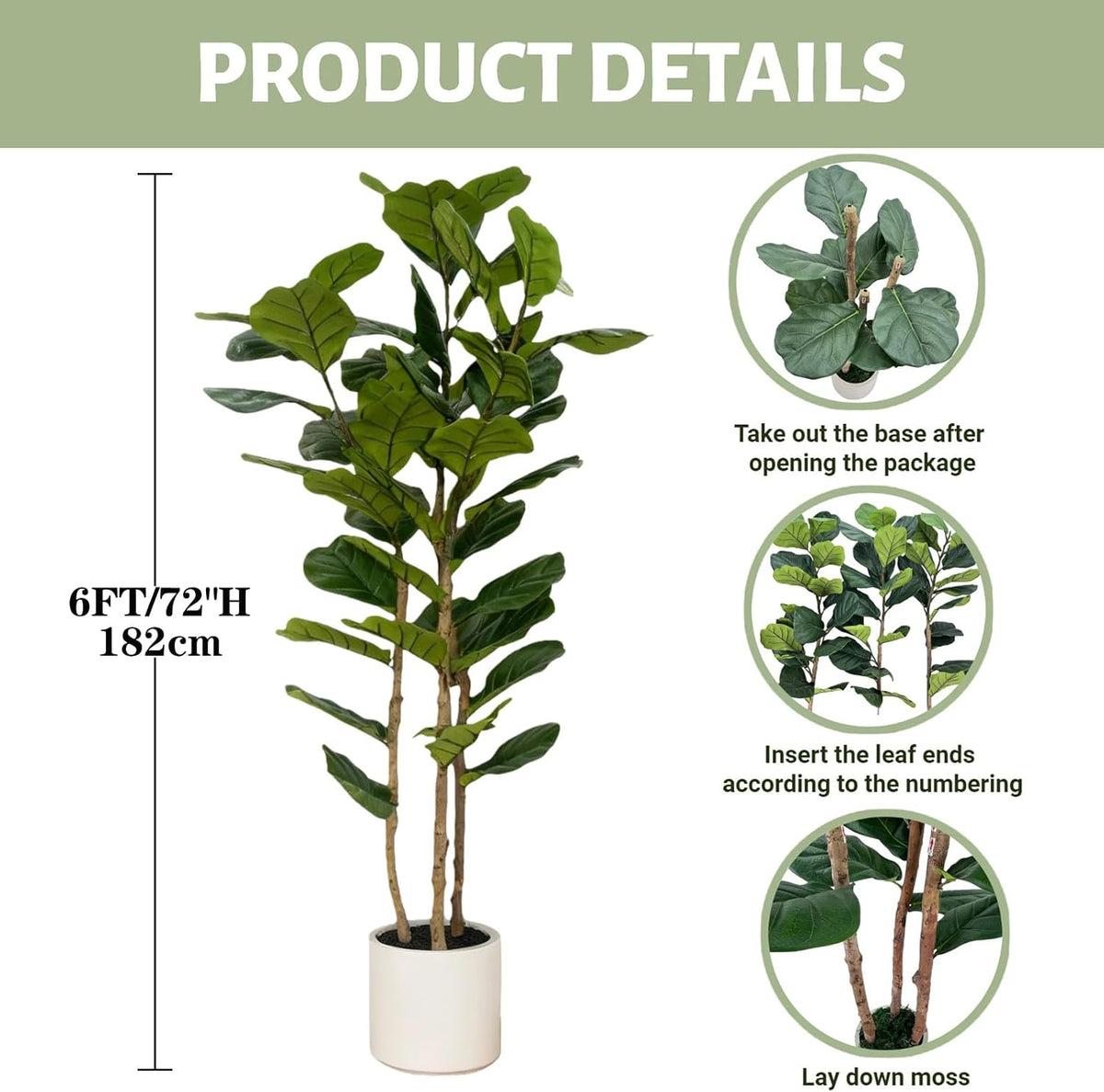 6 ft artificial fiddle leaf fig showing height measurement, assembly callouts, and white pot
